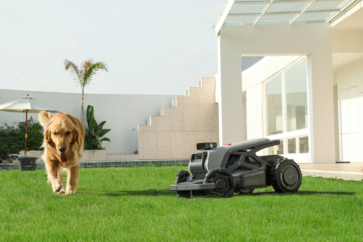 2025 Lawn Mower Costs and Smart Buying Guide