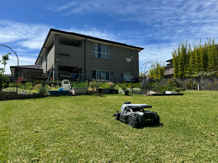 How Often Should You Mow Your Lawn?